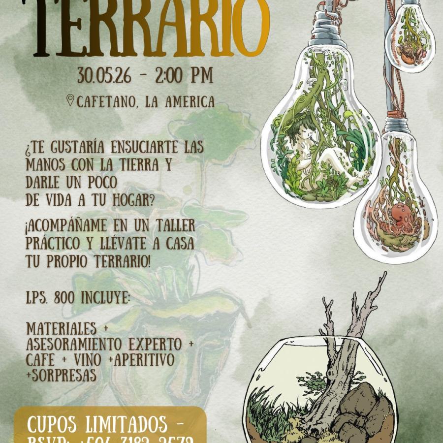 Taller: Haz tu propio terrario