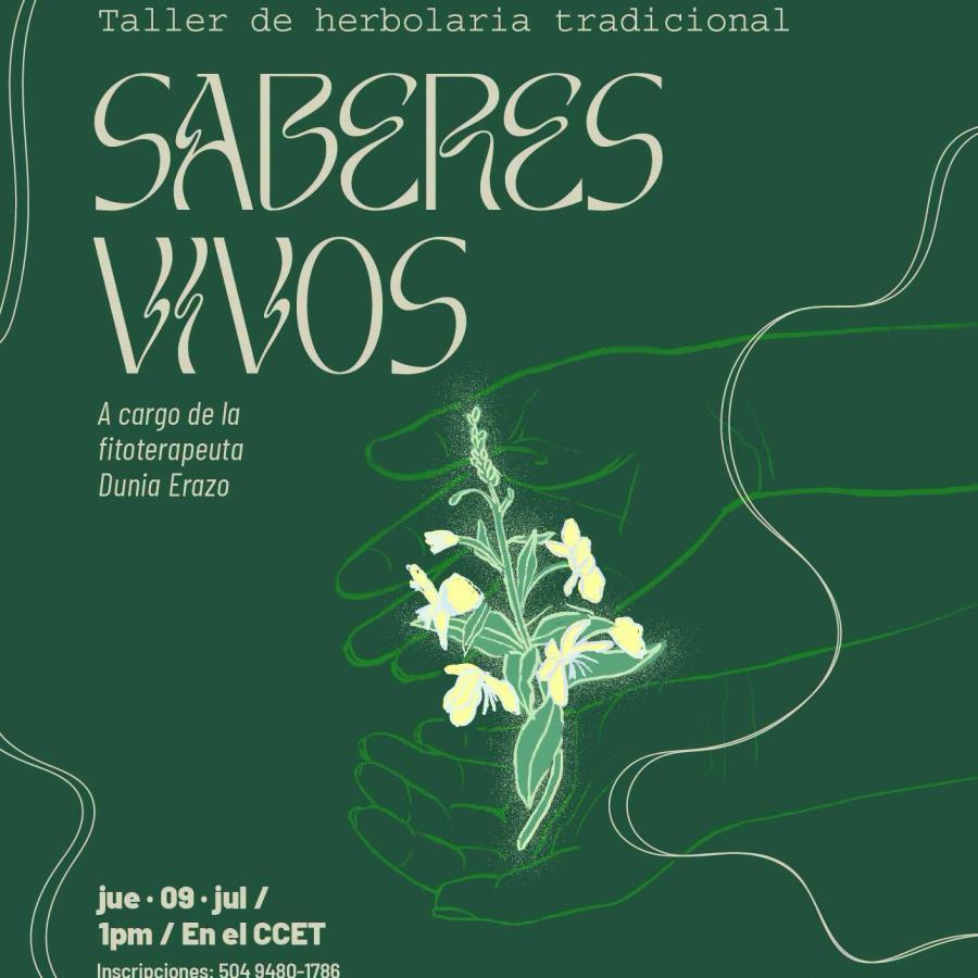 Taller de herbolaria tradicional: Saberes vivos