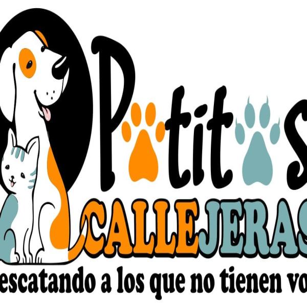 Noche benéfica de alegría 