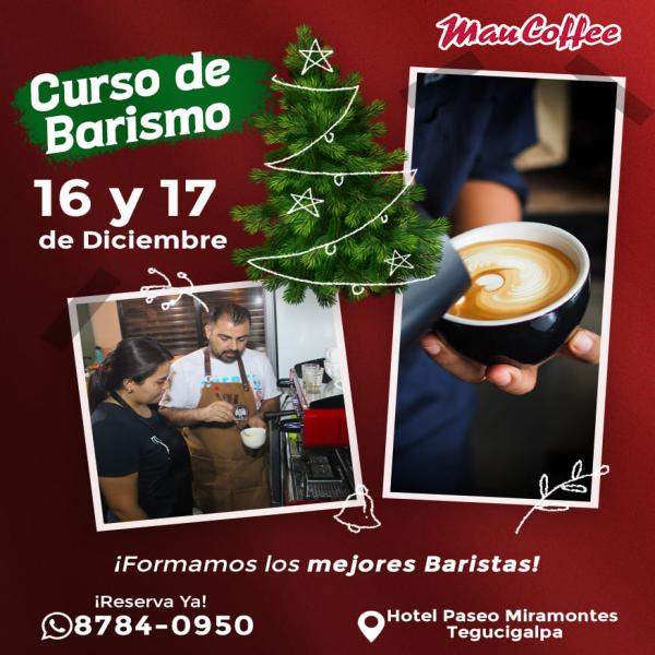 Descubre el arte del café con nuestro exclusivo Curso de Barismo