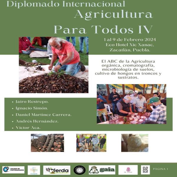 Diplomado Internacional: Agricultura para todos IV 