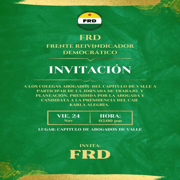 FRD Capítulo Valle: Jornada de Capacitación 