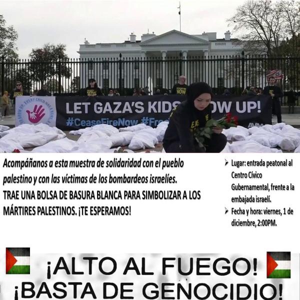 Acto de simbólico en solidaridad con las víctimas de los bombardeos israelíes y los 56 años de ocupación de territorio