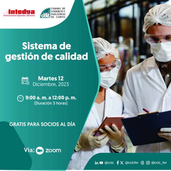 Capacitación Online "Sistema de gestión de calidad"