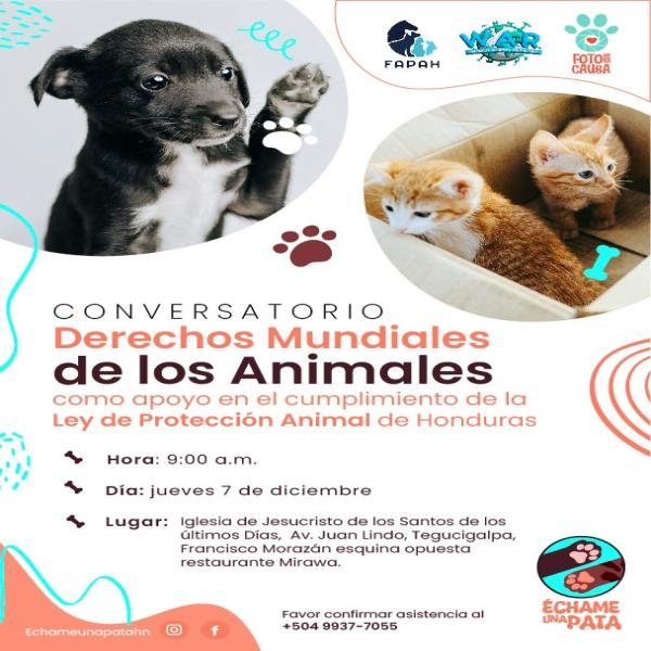 Conversatorio: Derechos Mundiales de los Animales 