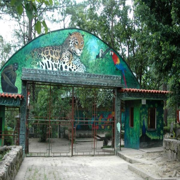 Convocatoria de Prensa: Recorrido en el Zoológico Metropolitano Rosy Walther
