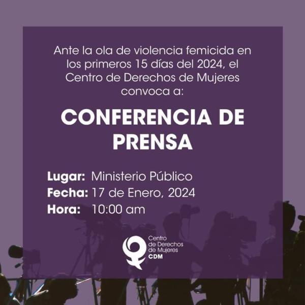 Conferencia de prensa: Ante la ola de violencia femicida en los primeros 15 días del 2014