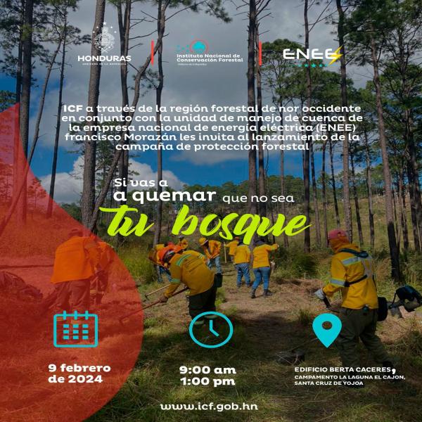 Convocatoria de Prensa: Lanzamiento de la campaña de protección forestal “Si vas a quemar que no sea tu bosque” 