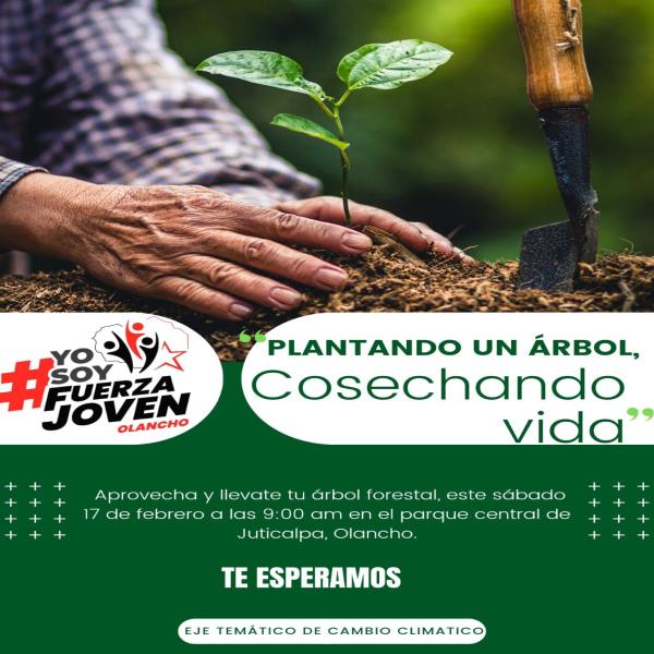 Invitación Prensa: Actividad “Plantando un árbol, Cosechando Vida”