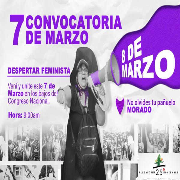 #8M: Plantón Bajos del Congreso Nacional 