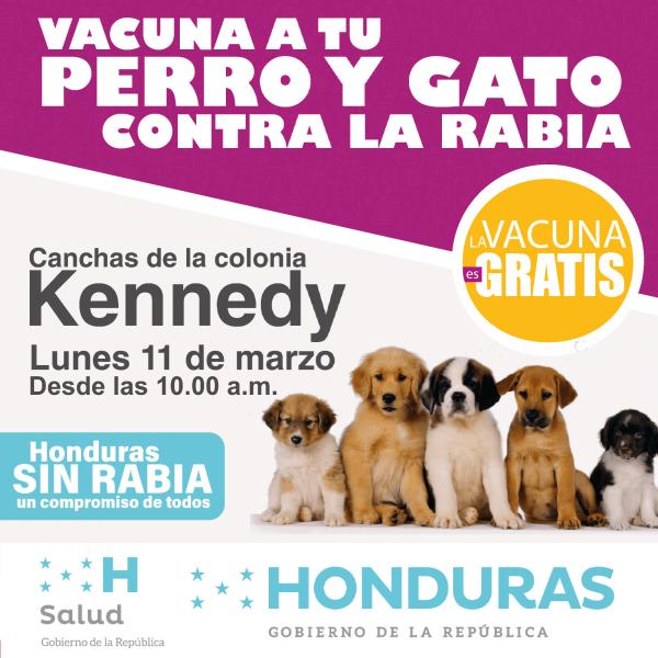 Convocatoria de prensa: lanzamiento campaña sostenida de vacunación canina y felina