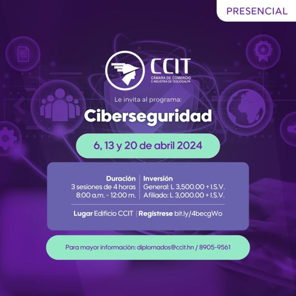 Programa Ciberseguridad
