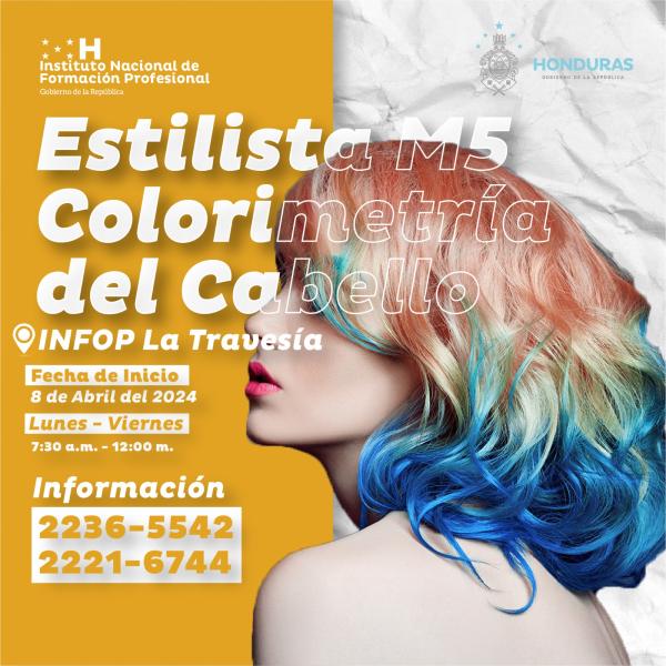 Curso: “Estilista M5 Colorimetría del Cabello” 
