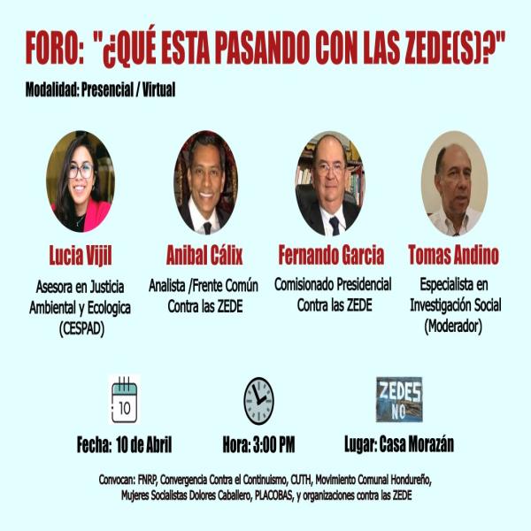 Foro: ¿Que está pasando con las ZEDE?