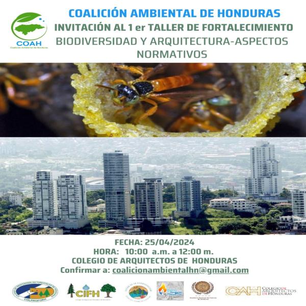 Taller de Fortalecimiento: Biodiversidad y Arquitectura – Aspectos Normativos 