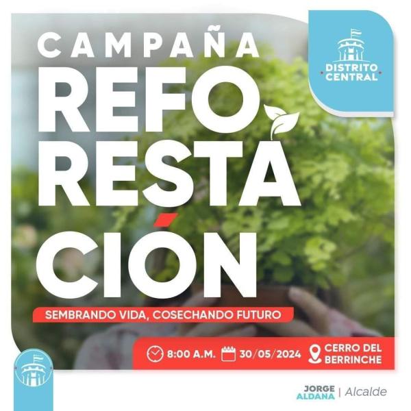 Campaña de reforestación "Sembrando vida, cosechando futuro" en el Cerro El Berrinche
