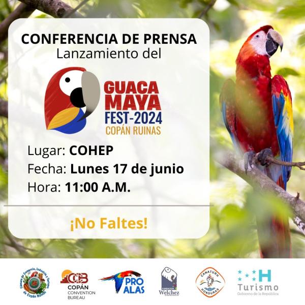 Lanzamiento oficial del Guacamaya Fest 2024 y la Liberación de Guacamayas de Copán Ruinas