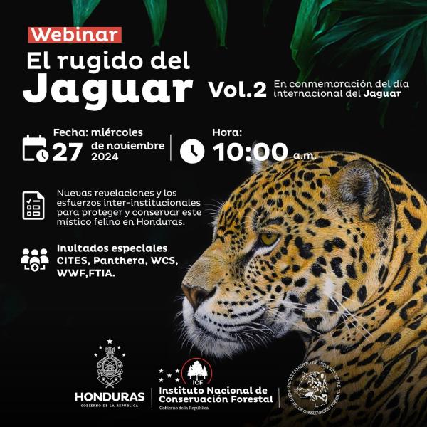 Webinar "El Rugido del Jaguar Vol. 2"