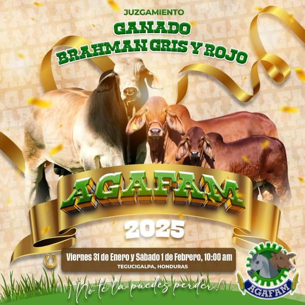 Competencia de Brahman en AGAFAM 2025