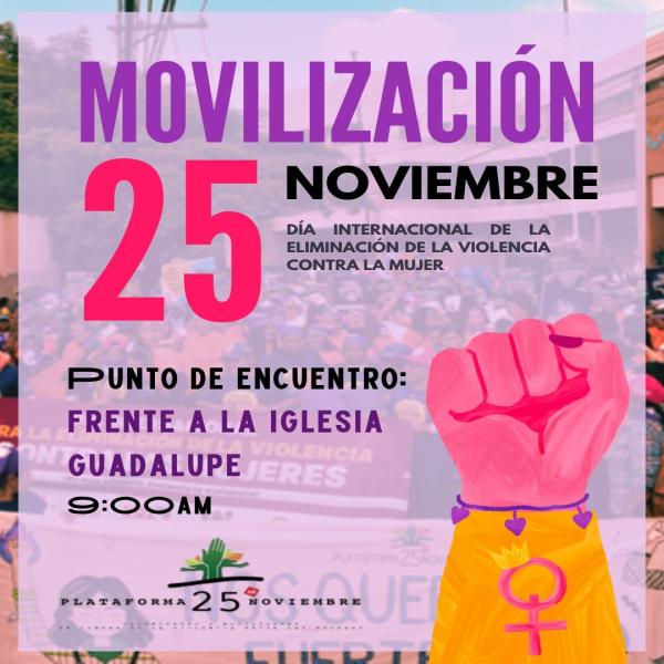 Movilización Día Internacional de la Eliminación de la Violencia contra la Mujer 