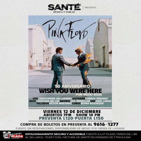 Celebremos los 50 años del memorable Wish You Were Here de Pink Floyd